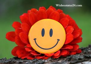 World laughter day 2020, Quotes, Wishes, SMS, Best Message, Best Status, Images, Theme For Whatsapp & Facebook