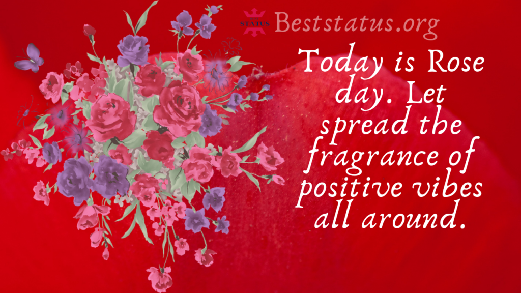 World Rose Day Wishes, Quotes, Message, SMS, Shayari To Share