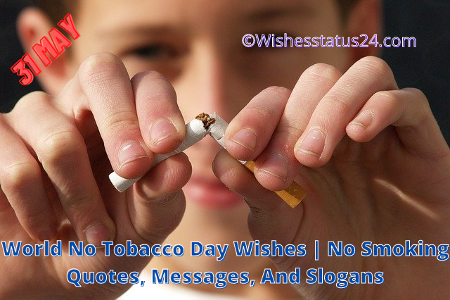 2023 World No Tobacco Day Wishes | No Smoking Quotes, Messages, And Slogans