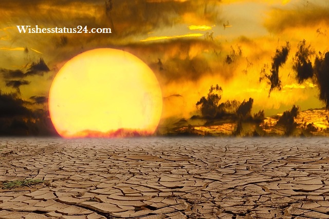 World Day to Combat Desertification and Drought Day 2021: Best Status, Messages, Quotes, Wishes