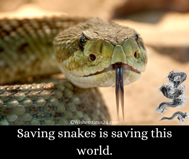 World Snake Day 2022: Quotes, Messages, Wishes, And Slogans