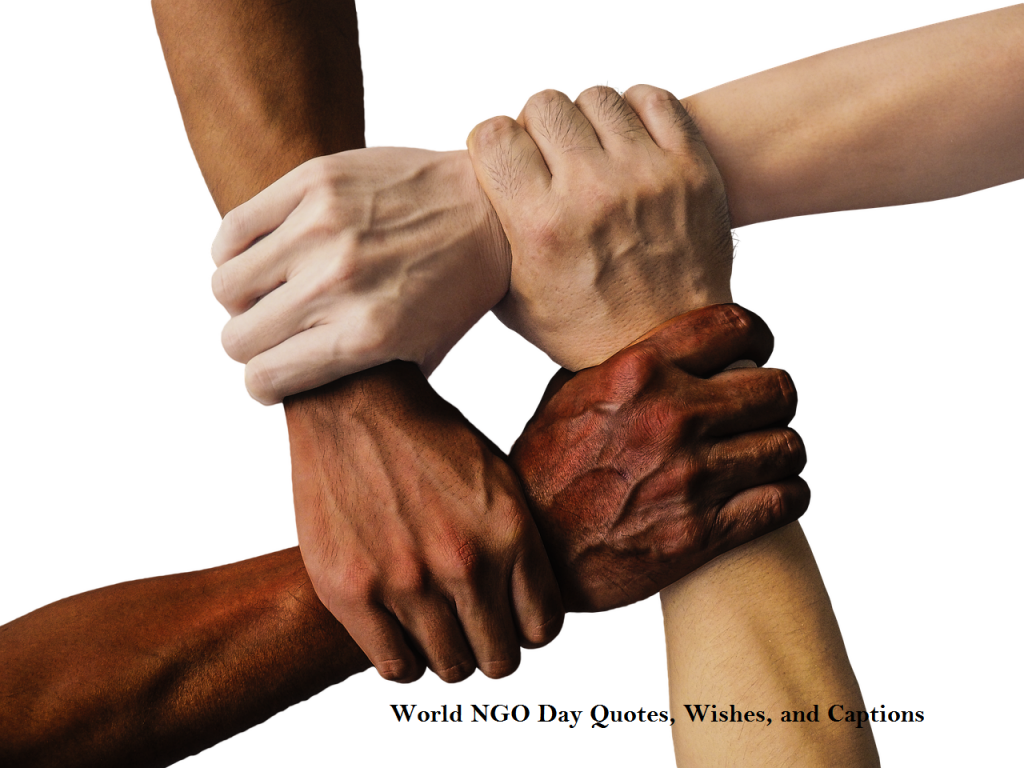 World NGO Day Quotes, Wishes, and Captions
